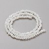Glass Beads Strands GLAA-L031-01-C-4
