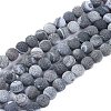 Natural Weathered Agate Beads Strands G-L534-04-10mm-1
