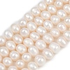 Natural Cultured Freshwater Pearl Beads Strands PEAR-I007-07J-02A-2