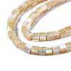 Natural Trochid Shell/Trochus Shell Beads Strands SSHEL-S266-009-3