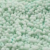 Macaron Color Opaque Frosted Glass Seed Beads SEED-K009-12B-07-3
