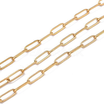304 Stainless Steel Paperclip Chains CHS-D033-06G-02-1