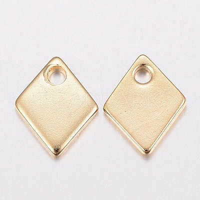 304 Stainless Steel Charms STAS-G179-82G-1
