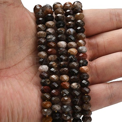 Natural Petrified Wood Beads Strands G-Z111-A50-1