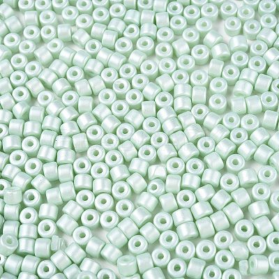 Baking Paint Pearlized Glass Seed Beads SEED-T008-03P-1