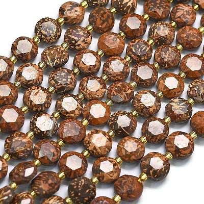 Natural Starburst Jasper Beads Strands G-C116-A136-01-1