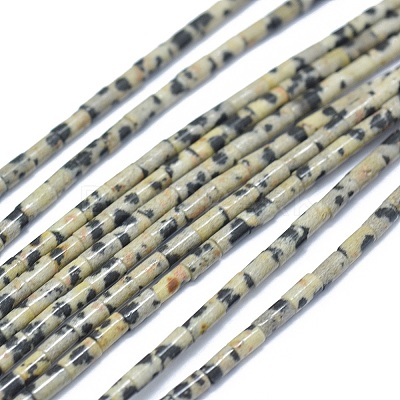 Natural Dalmatian Jasper Beads Strands G-F631-B07-1
