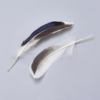 Feather Costume Accessories X-FIND-Q046-15F-1