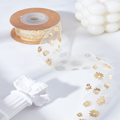 Organza Ribbons SRIB-LP0001-08B-1