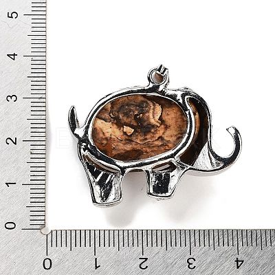 Natural Picture Jasper Pendants G-G112-01P-08-1