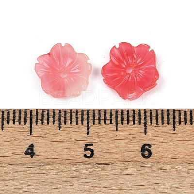 Shell Powder Beads BSHE-L038-01A-1