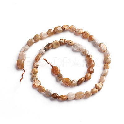 Natural Fossil Coral Beads Strands G-D0002-B36-1