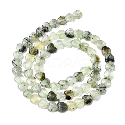 Natural Prehnite Beads Strands G-P575-C19-6mm-1
