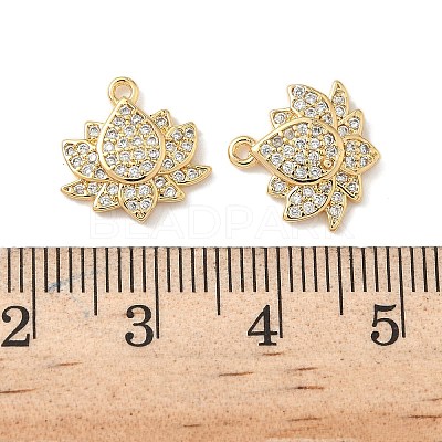 Brass Micro Pave Cubic Zirconia Charms KK-C099-09G-1