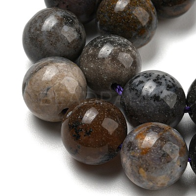 Natural Dendritic Jasper Beads Strands G-R494-A23-04-1