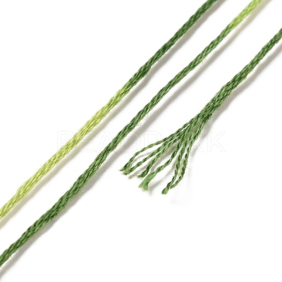 10 Skeins 6-Ply Polyester Embroidery Floss OCOR-K006-A02-1