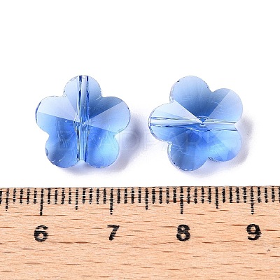 Transparent Glass Beads GLAA-Q066-14mm-C08-1