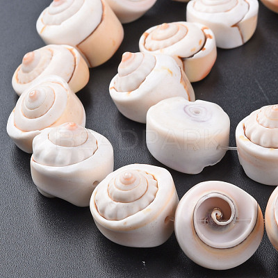 Natural Spiral Shell Bead Strands SSHEL-N034-106-1