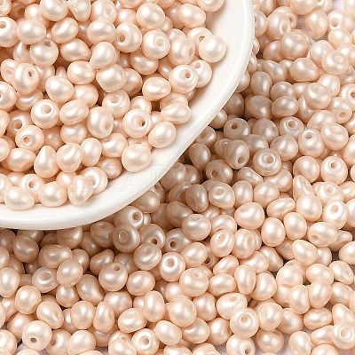 6/0 Glass Seed Beads SEED-L011-08A-24-1