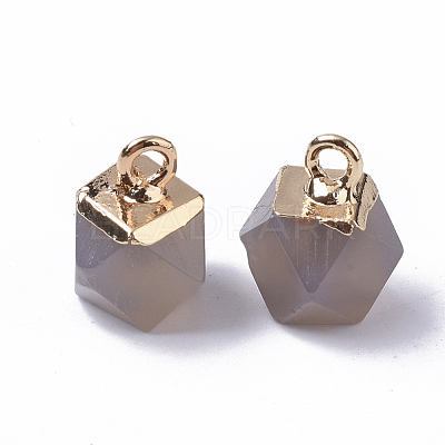 Natural Grey Agate Charms X-G-S359-015D-1