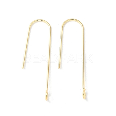 316 Surgical Stainless Steel Earring Hooks STAS-Z124-02D-G-1