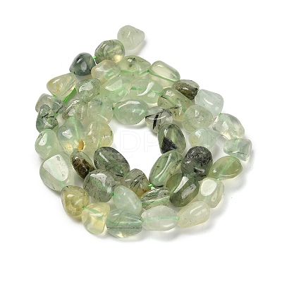 Natural Prehnite Beads Strands G-P497-01E-39-1