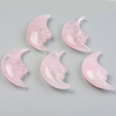 Natural Madagascar Rose Quartz Beads G-T132-021-1