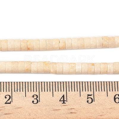 Natural Fossil Beads Strands G-H230-11-1