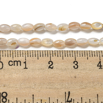 Natural Freshwater Shell Beads Strands SHEL-H072-03-1