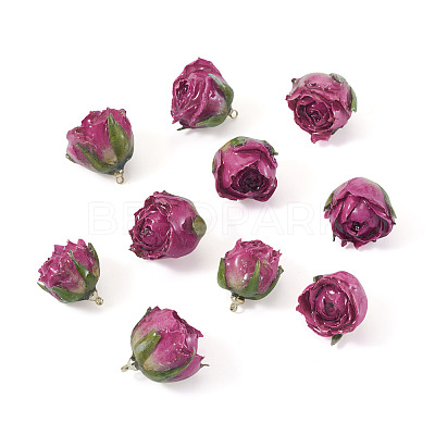 10Pcs Preserved Rose Pendants KY-TA0001-59B-1