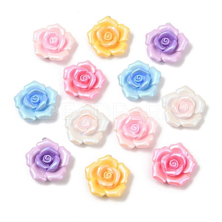 Opaque Resin Pendants RESI-B035-01-1