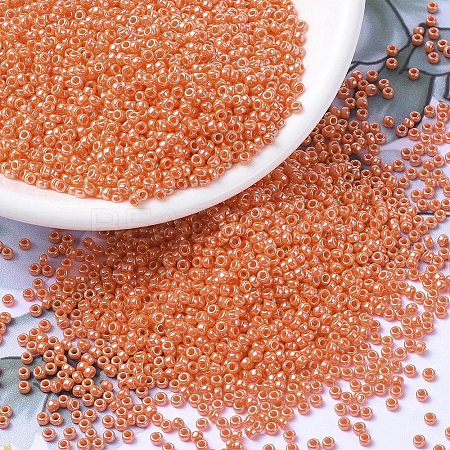 MIYUKI Round Rocailles Beads X-SEED-G007-RR0424-1