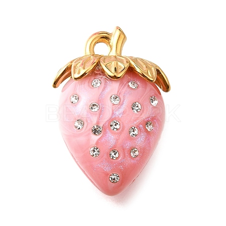 304 Stainless Steel Acrylic Pendants STAS-E549-03G-03-1