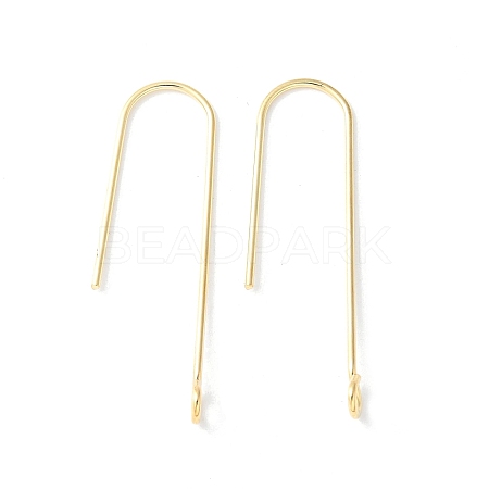 316 Surgical Stainless Steel Earring Hooks STAS-Z124-02D-G-1