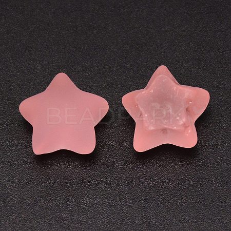 Frosted Resin Cabochons RESI-CJC0014-01D-1