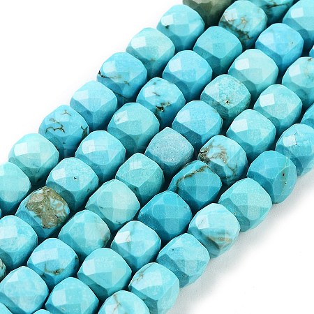 Dyed Natural Turquoise Beads Strands G-H028-A04-01-1