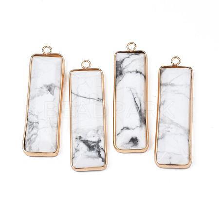Natural Howlite Pendants G-S359-386A-1