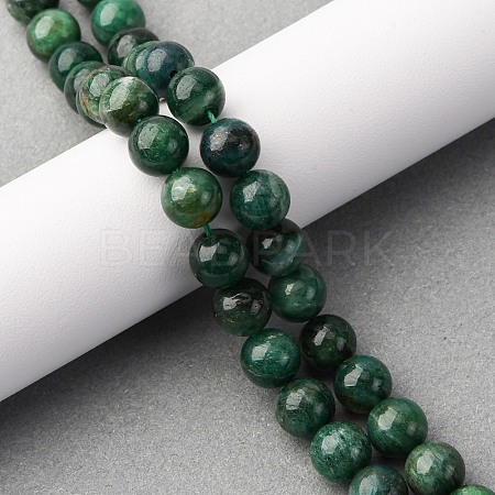Natural Fuchsite Beads Strands G-K393-A02-8mm-1