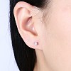 Exquisite 925 Sterling Silver Cubic Zirconia Stud Earrings EJEW-BB20109-2