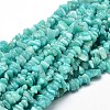 Natural Amazonite Chip Beads Strands X-G-E271-76-1