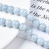 Natural Chalcedony Beads Strands G-S333-10mm-004-4