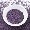 MIYUKI Delica Beads SEED-X0054-DB0662-2