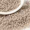 MIYUKI Round Rocailles Beads SEED-G008-RR0215-1