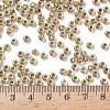 TOHO 6/0 Round Beads X-SEED-TR06-0262-3