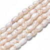 Natural Cultured Freshwater Pearl Beads Strands PEAR-N012-03C-3