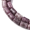 Natural Lepidolite Beads Strands G-F808-B01-01-4