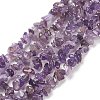 Natural Amethyst Beads Strands F014-1-1