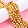 Natural Gold Tiger Eye Beads Strands G-G212-8mm-18-4