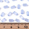 Drawbench Style Glass Seed Beads SEED-N008-10I-4