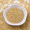 MIYUKI Delica Beads Small SEED-X0054-DBS0230-2